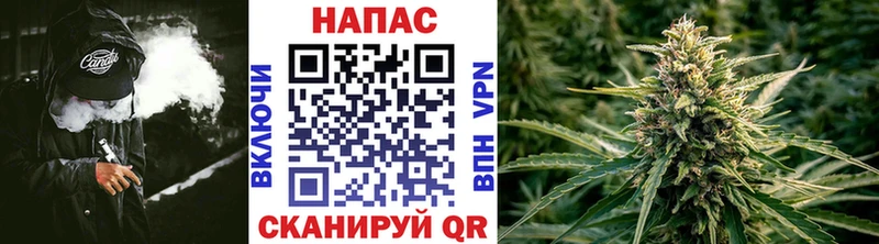 Шишки марихуана White Widow  Нефтегорск 